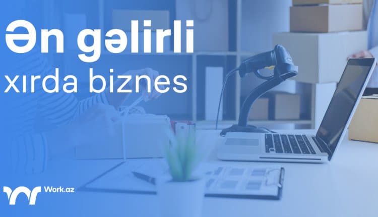 Ən Gəlirli Xırda Biznes İdeyaları Hansılardır?