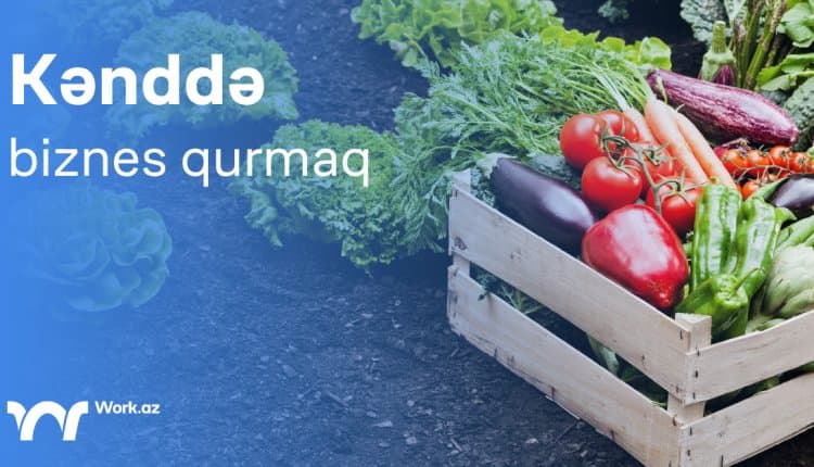Kənddə biznes qurmaq istəyirsiniz?