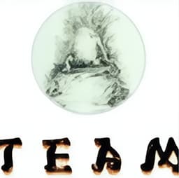 A TEAM