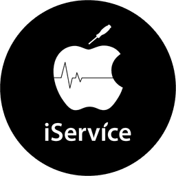 İservice