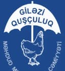 Giləzi