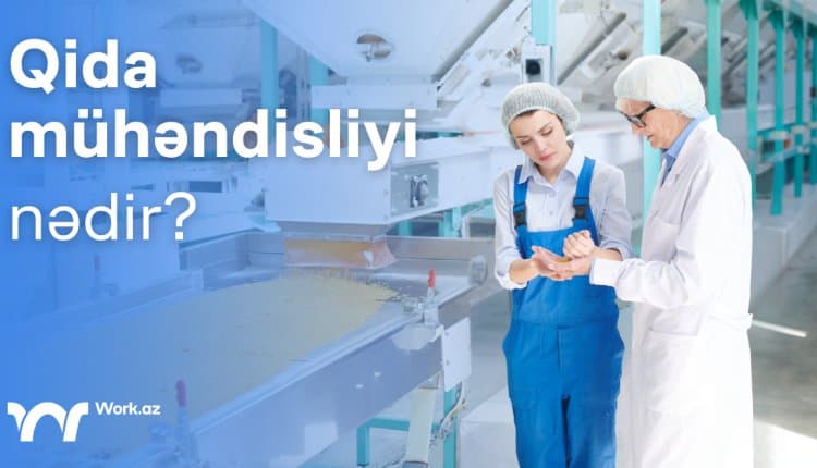 Qida mühəndisliyi nədir?